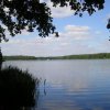 jezioro borek koo kosarzyna